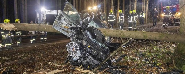 Австрийка чудом выжила за рулем компактвэна, который воткнулся в огромную ель