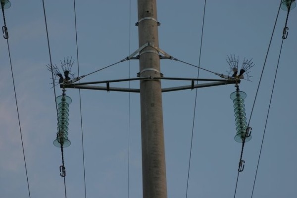 МАРТ повысил тарифы на услуги в электроэнергетике