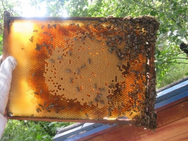 В Варшаве задержали двоих подростков &ndash; 13-летних белоруса и украинку. Что они сделали?