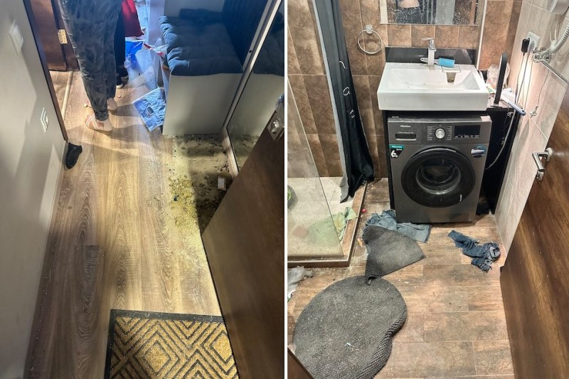 Не платил два месяца, «ушатал» квартиру - девушка сдала жилье айтишнику